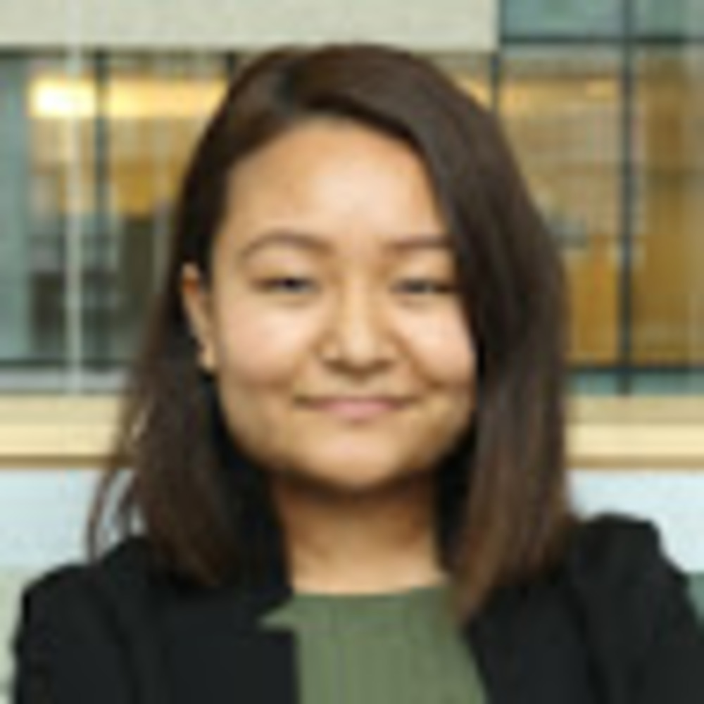 Meet your Posher, Dolma